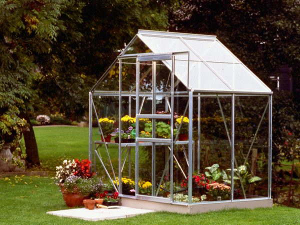 Rõdukasvuhoone Vitavia Venus 2500