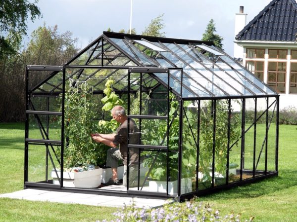 Kasvuhoone Vitavia Jupiter 11500 / 11,5m² outlet - Image 2
