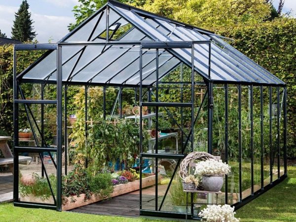 Kasvuhoone Vitavia Jupiter 11500 / 11,5m² outlet - Image 3