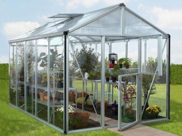 Kasvuhoone Vitavia Zeus 11900