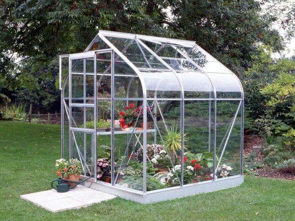 Kasvuhoone Vitavia Orion 3800 outlet